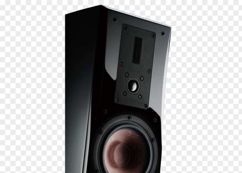 Danish Audiophile Loudspeaker Industries Computer Speakers Subwoofer Studio Monitor PNG