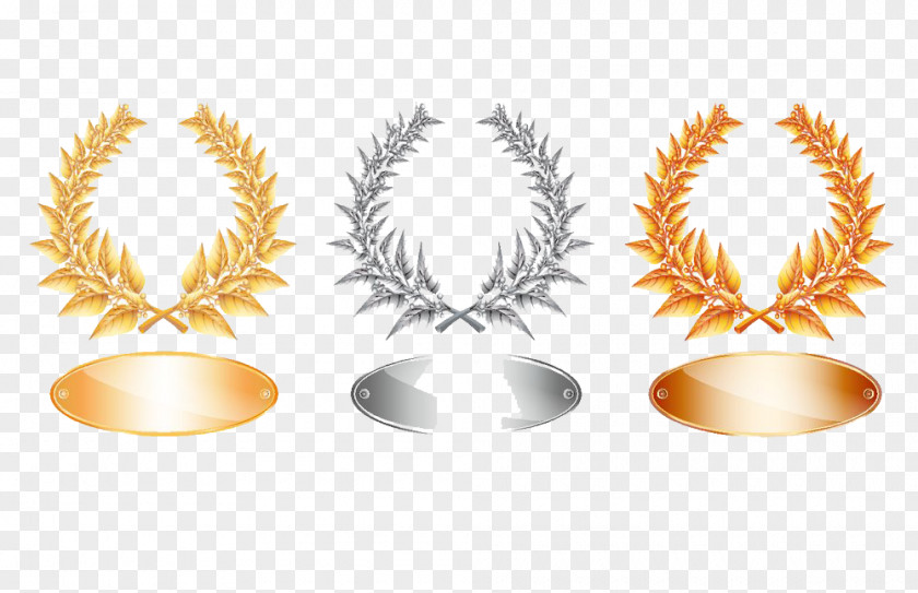 Metal Card With Plants Laurel Wreath Silver Stock Illustration Clip Art PNG