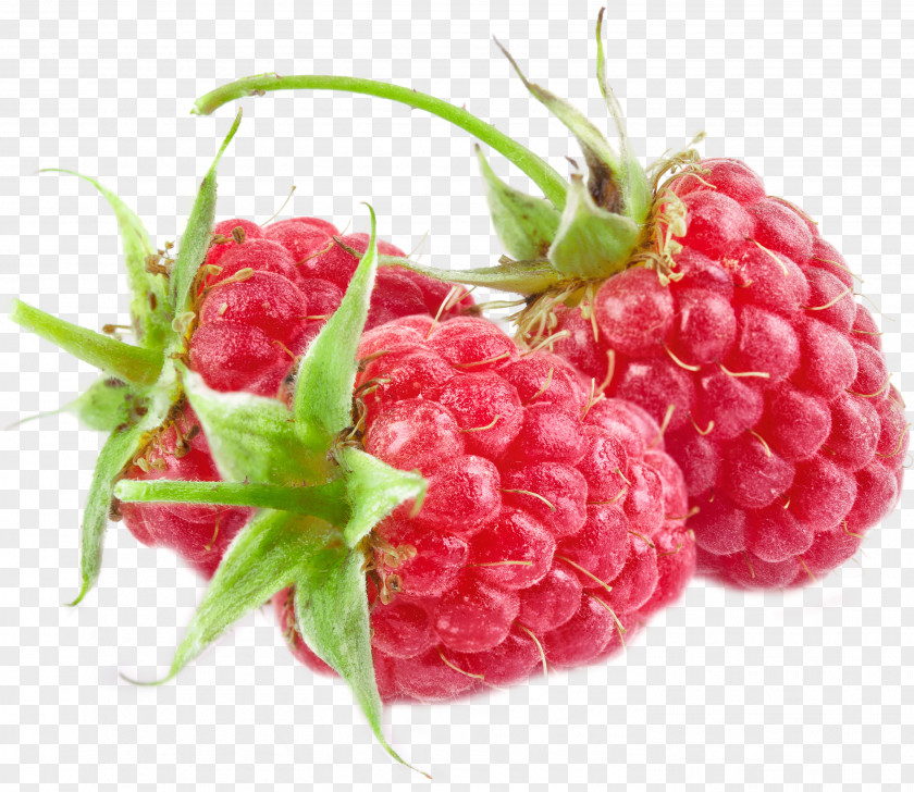 Raspberry Red Everbearing Clip Art PNG