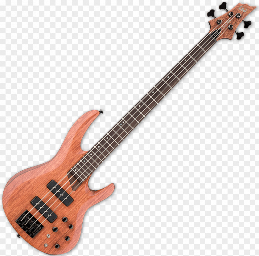 Bass Guitar Amplifier ESP Guitars Electric PNG