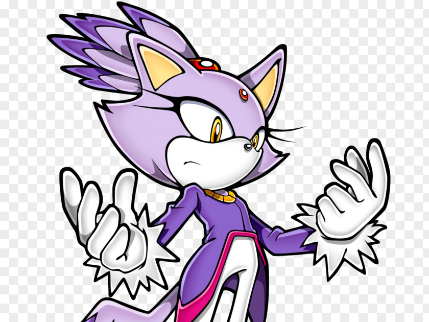 Cat Amy Rose Sonic Rush Shadow The Hedgehog And Black Knight PNG