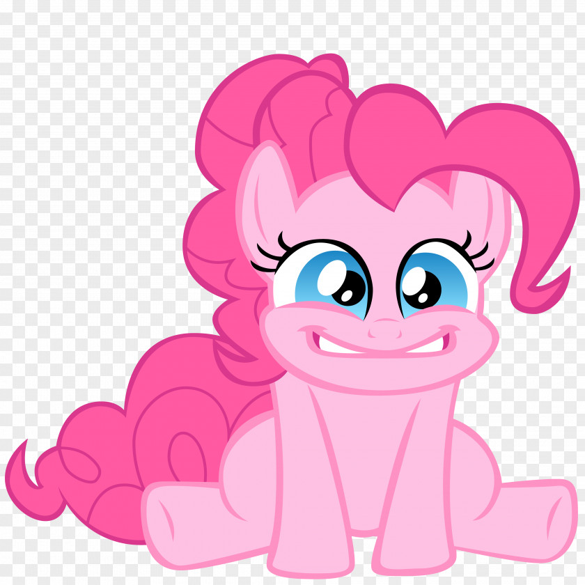Pie Pinkie Pony Rainbow Dash Twilight Sparkle Rarity PNG