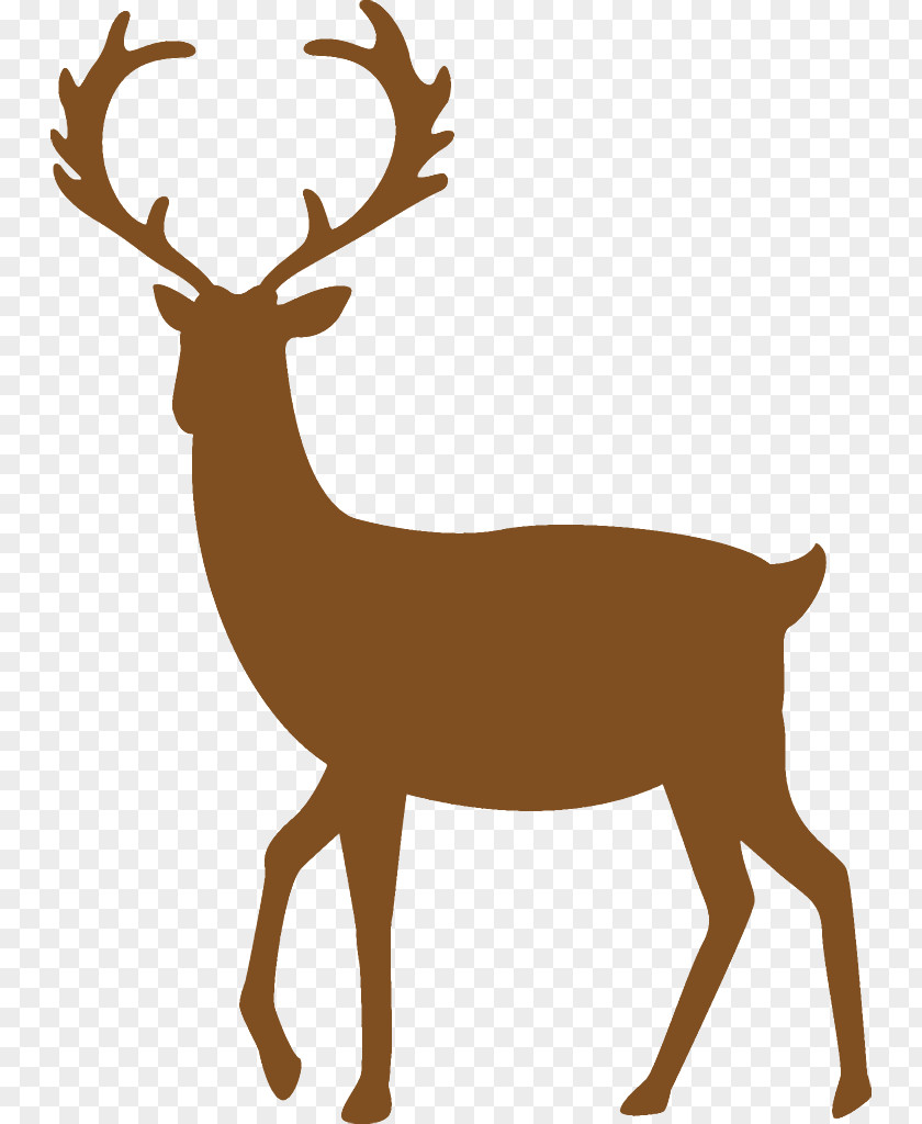 Roe Deer Horn Reindeer Christmas PNG