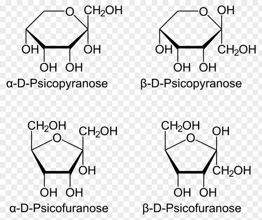 Haworth Projection Psicose Fructose Sorbose PNG