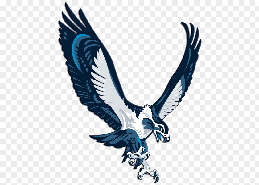 Seattle Seahawks 2017 Season NFL New York Jets Carolina Panthers PNG