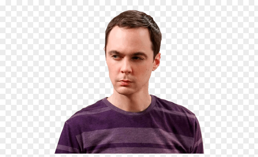 The Big Bang Theory Jim Parsons Sheldon Cooper Penny Leonard Hofstadter PNG