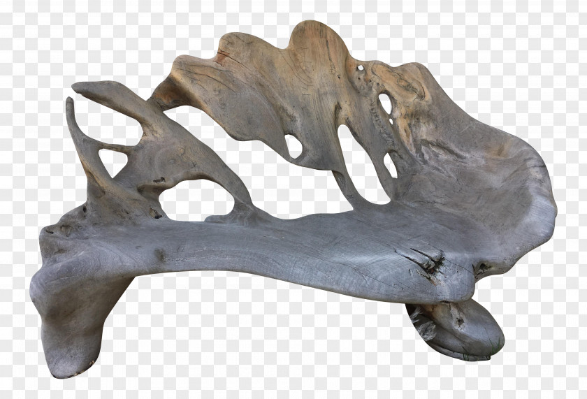 Antique Wood Bench Antler Jaw PNG