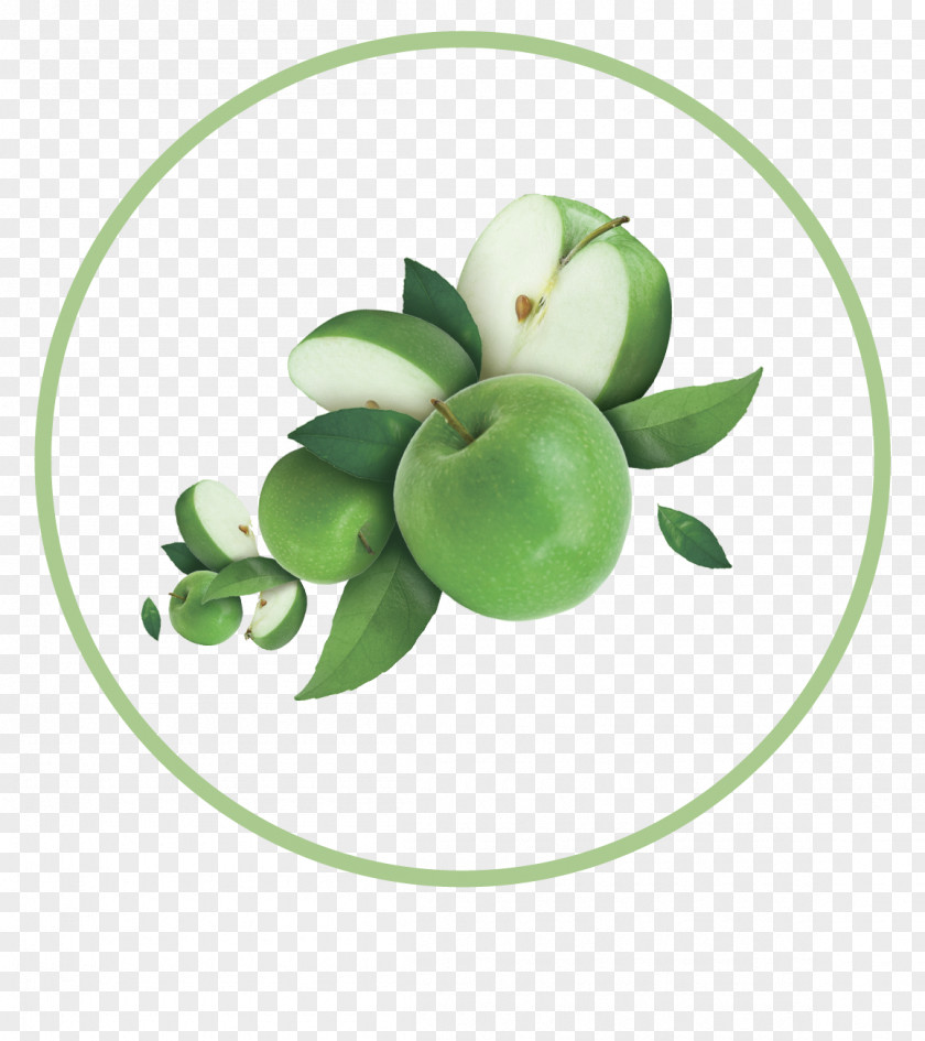 Green Fresh Apple Decorative Patterns Fruit Auglis PNG