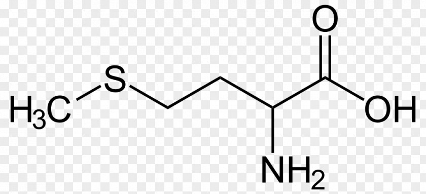 Selenomethionine Protein Structure Amino Acid PNG