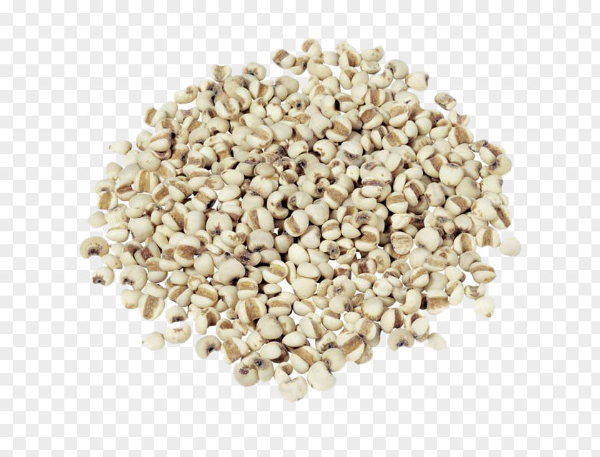 Spread Of Barley Rice Adlay Food Drinking Cereal PNG