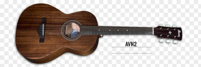 Western Instruments Acoustic Guitar Acoustic-electric Amplifier Ukulele Cavaquinho PNG