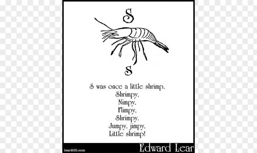 White Shrimp El Rei Lear Calligraphy Document Fauna PNG
