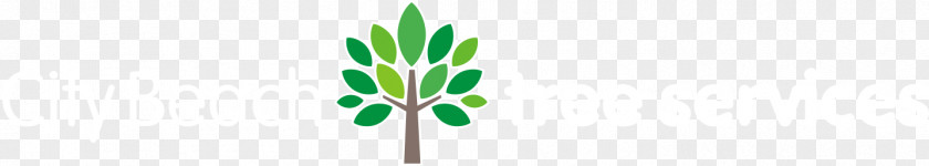 City-service Leaf Grasses Plant Stem Bud Desktop Wallpaper PNG