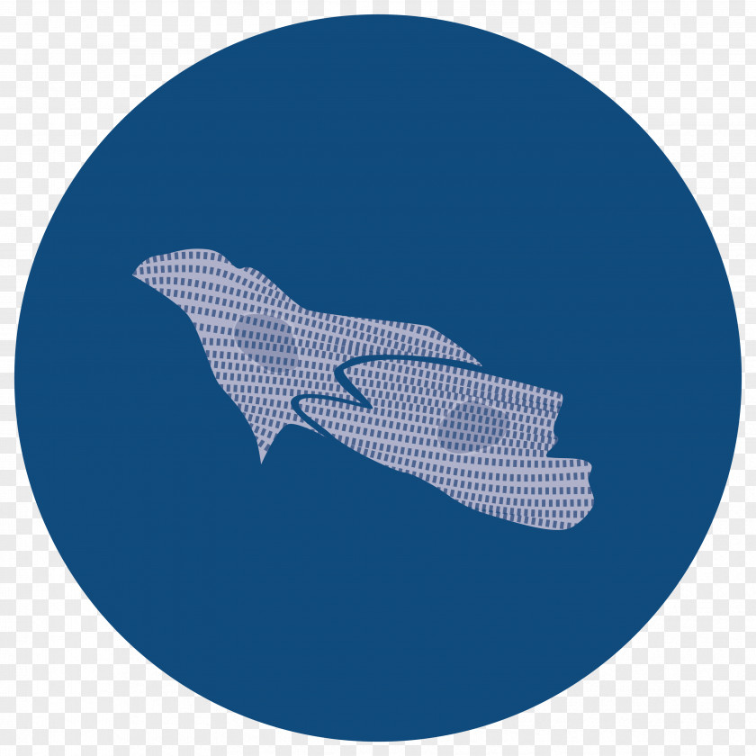 Dolphin Sky Plc Fish Font PNG