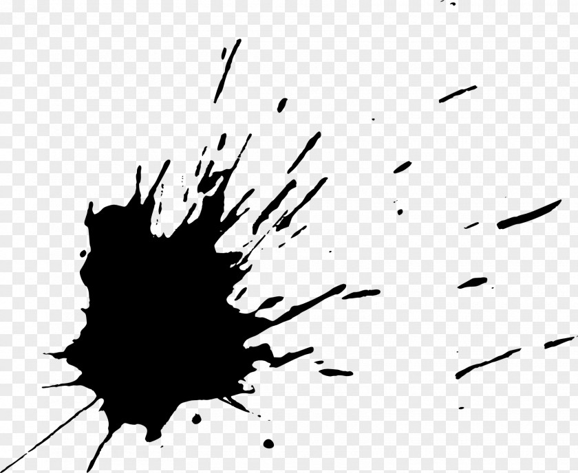 Paint Splatter Photography Black And White Watercolor Painting PNG