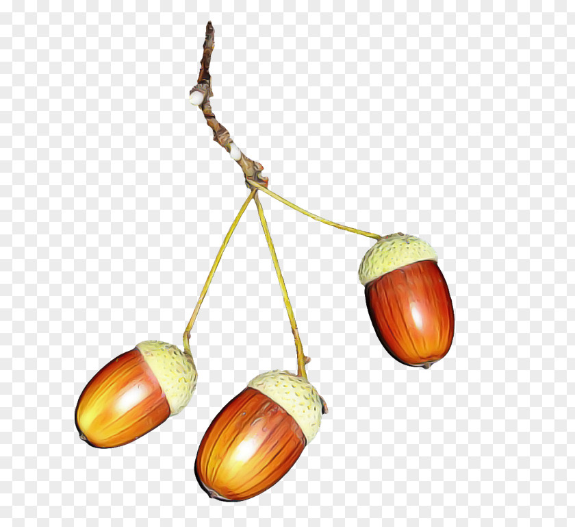 Plant Nut Chestnut Tree PNG