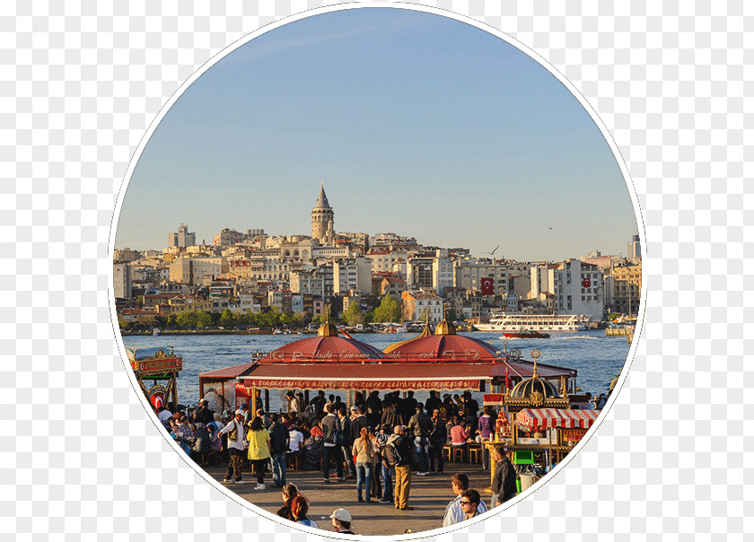 Topkapi Palace Istanbul Golden Horn Tourism Sky Plc PNG