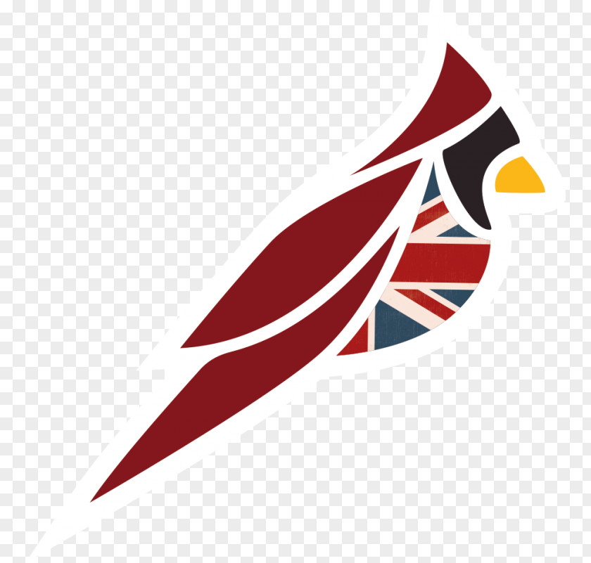 United Kingdom Arizona Cardinals Chicago Bears NFL PNG