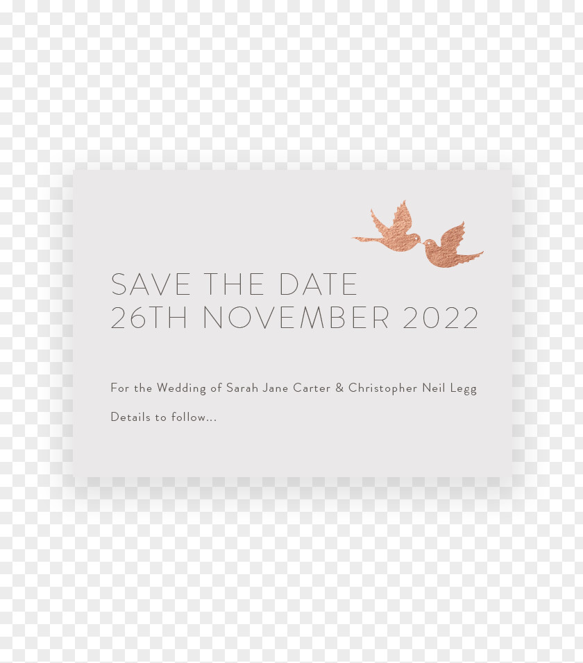 Bird Wedding Invite Brand Font PNG