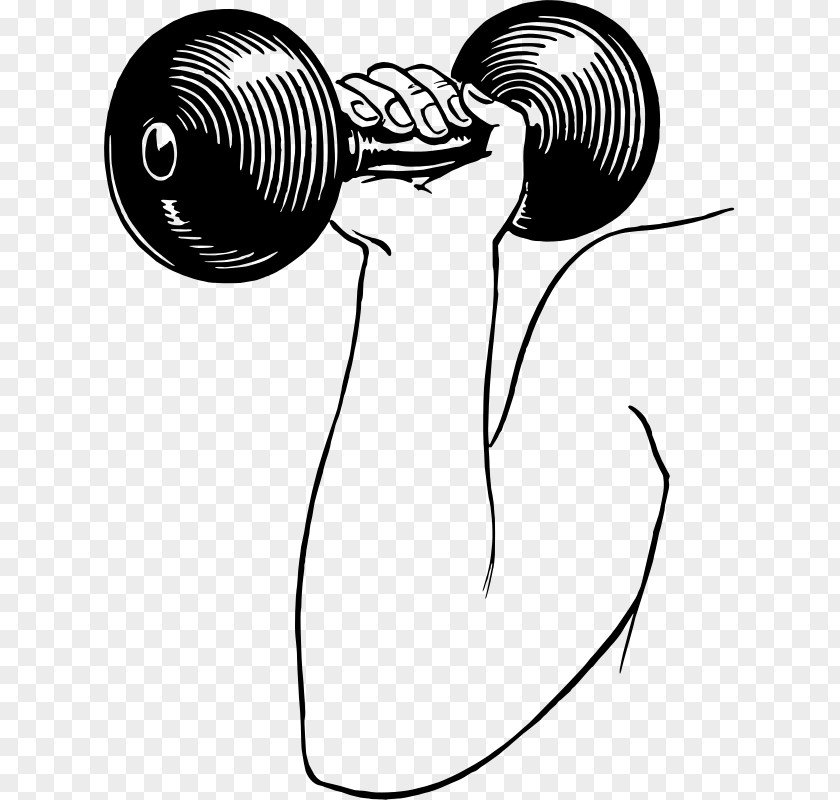 Dumbbell Weight Training Fitness Centre Clip Art PNG