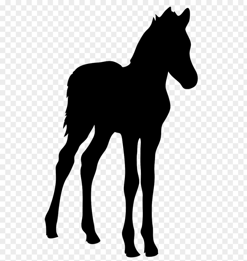 Free Horse Graphics Foal Silhouette Clip Art PNG