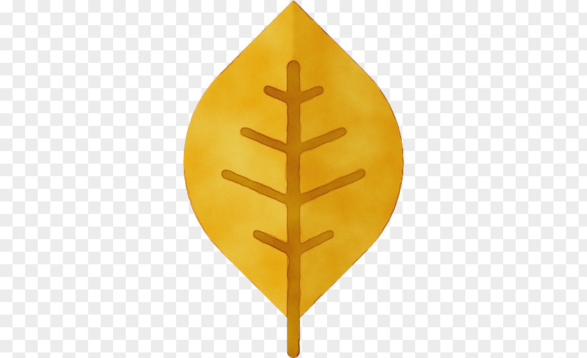 Leaf Angle Yellow Plant Structure Biology PNG