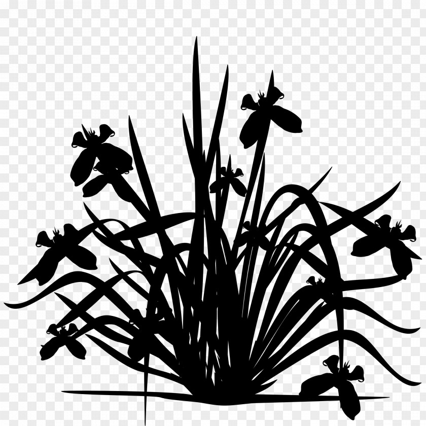 M Clip Art Plant Stem Flower Leaf Black & White PNG