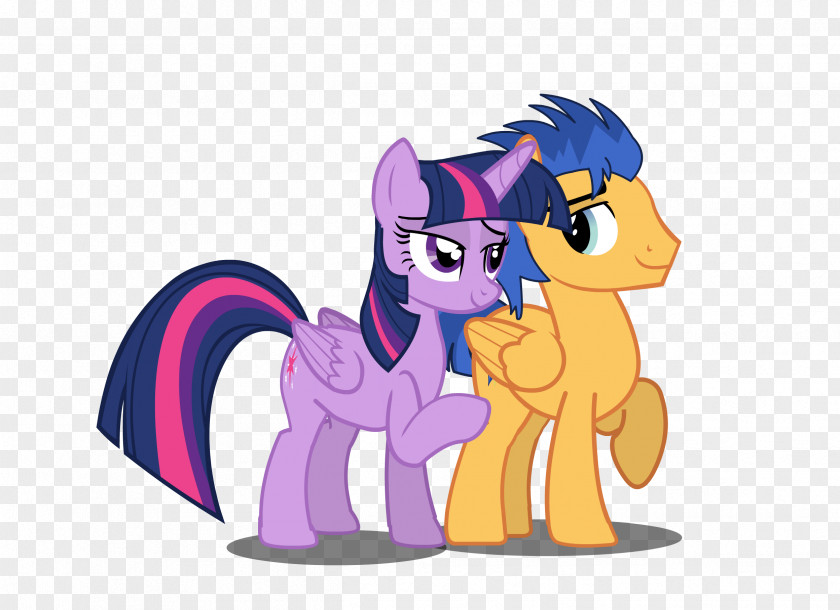My Little Pony Twilight Sparkle Princess Celestia Flash Sentry Rainbow Dash PNG