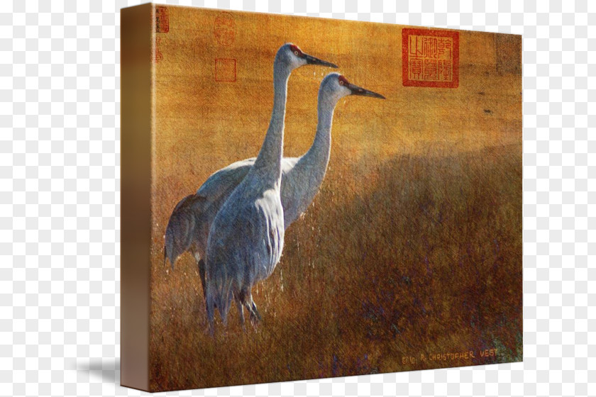 Painting Picture Frames Crane Fauna Art PNG