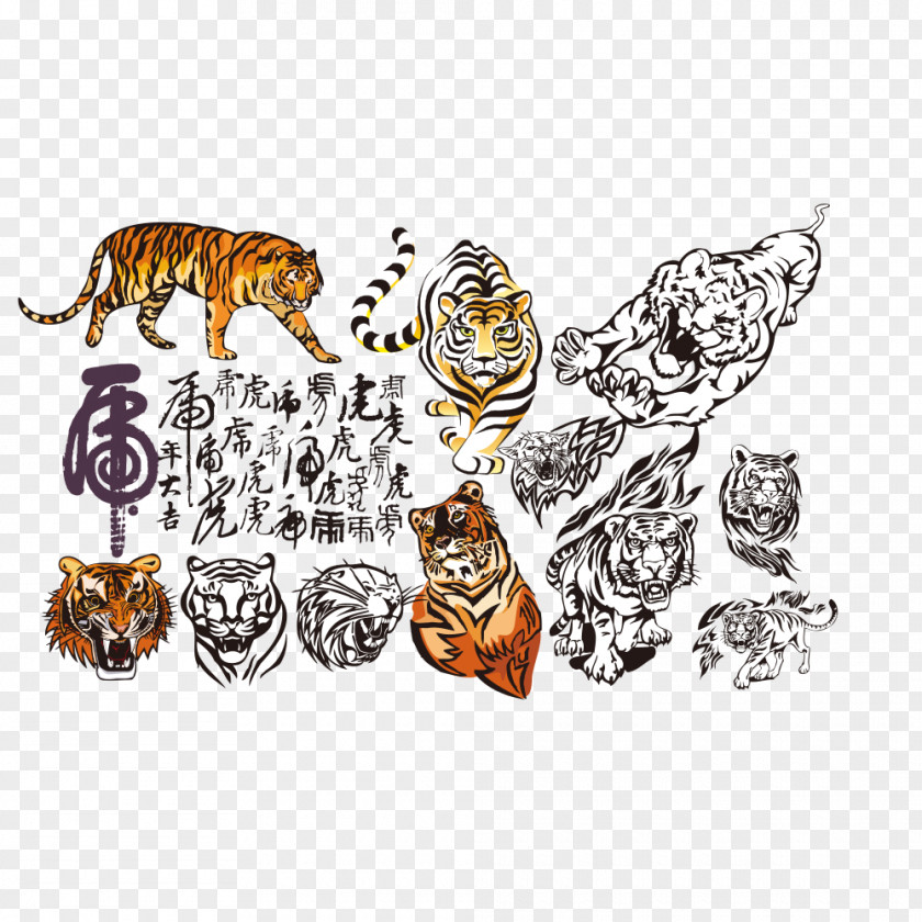 Tiger South China Illustration PNG