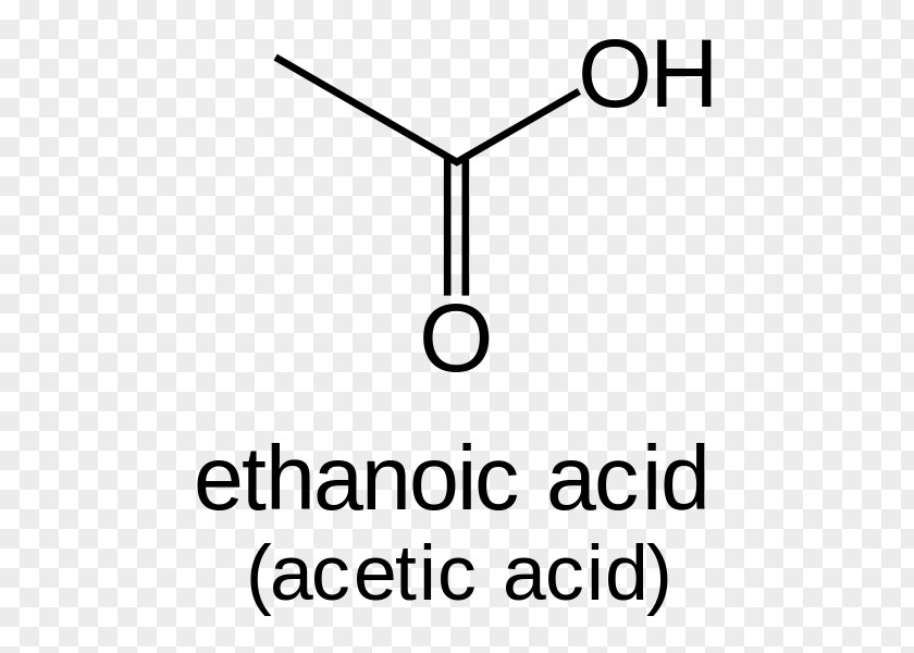 Carboxylic Acid Proteinogenic Amino Methyl Group Amine Leucine PNG