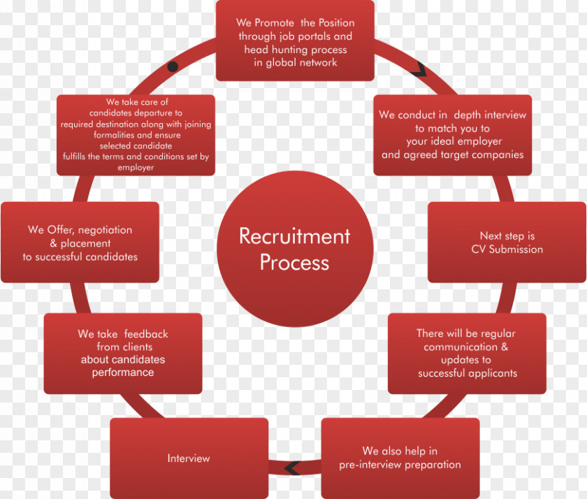 Recruitment Process Organization Business Sourcing PNG