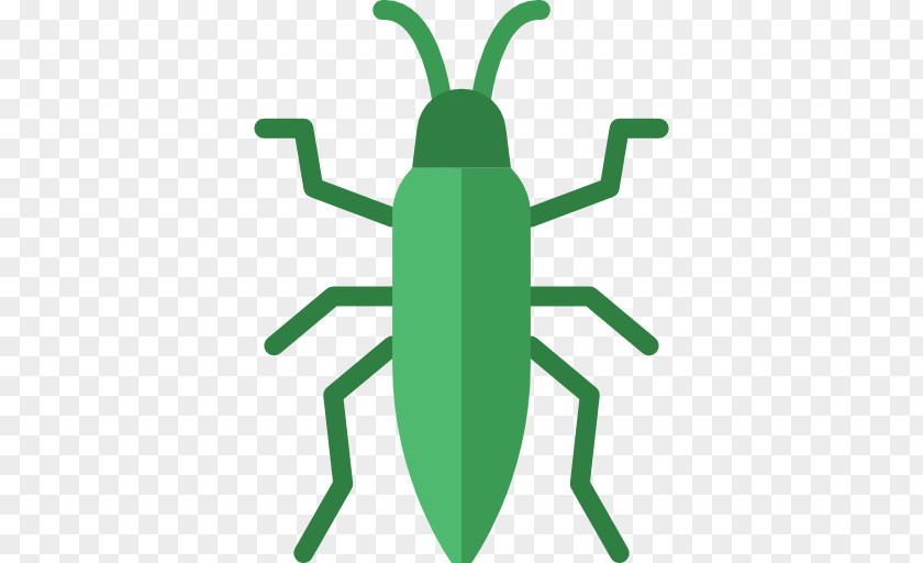 Bedbug Insect Flea Pest Louse Rat PNG