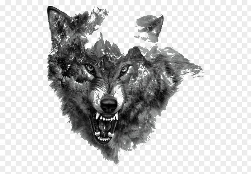 Painted Wolf Arctic Tattoo Northern Rocky Mountain Flash PNG