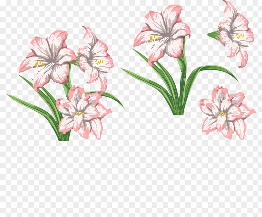 Pink Lily Tiger Flower Floral Design PNG