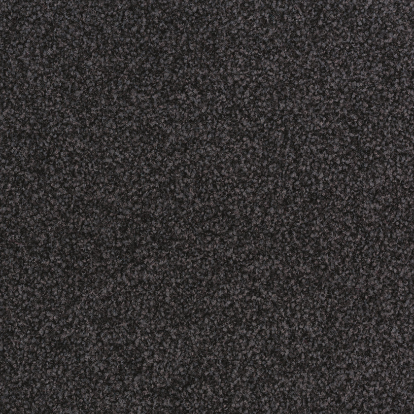 Carpet Fitted Color Torso Tapijttegel PNG