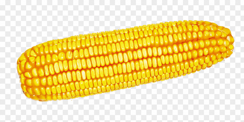 Corn On The Cob Maize Harvest Computer File PNG