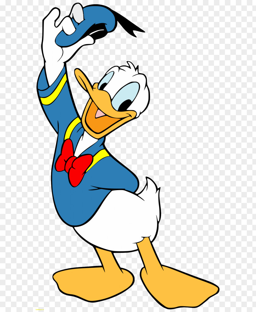 Donald Duck 12410 Daffy PNG
