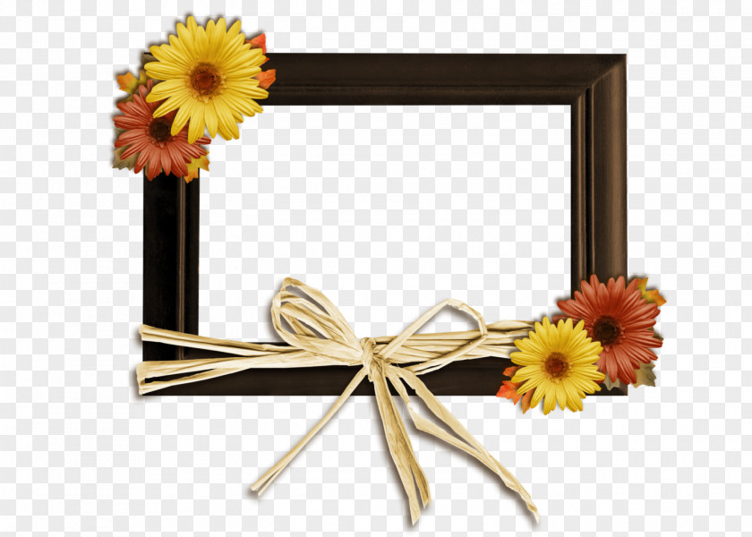 Flower Picture Frames Yellow Cut Flowers Floral Design PNG
