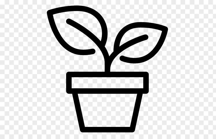 Plant PNG