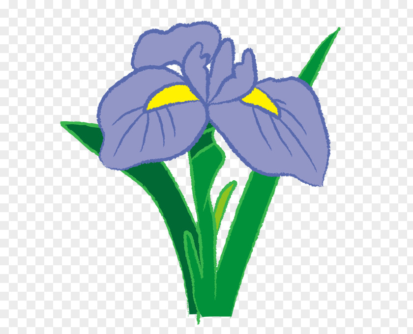 Abby Illustration Irises Clip Art Image Openclipart PNG
