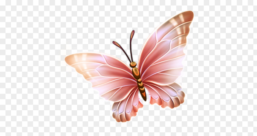 Butterfly Paper Clip Art PNG