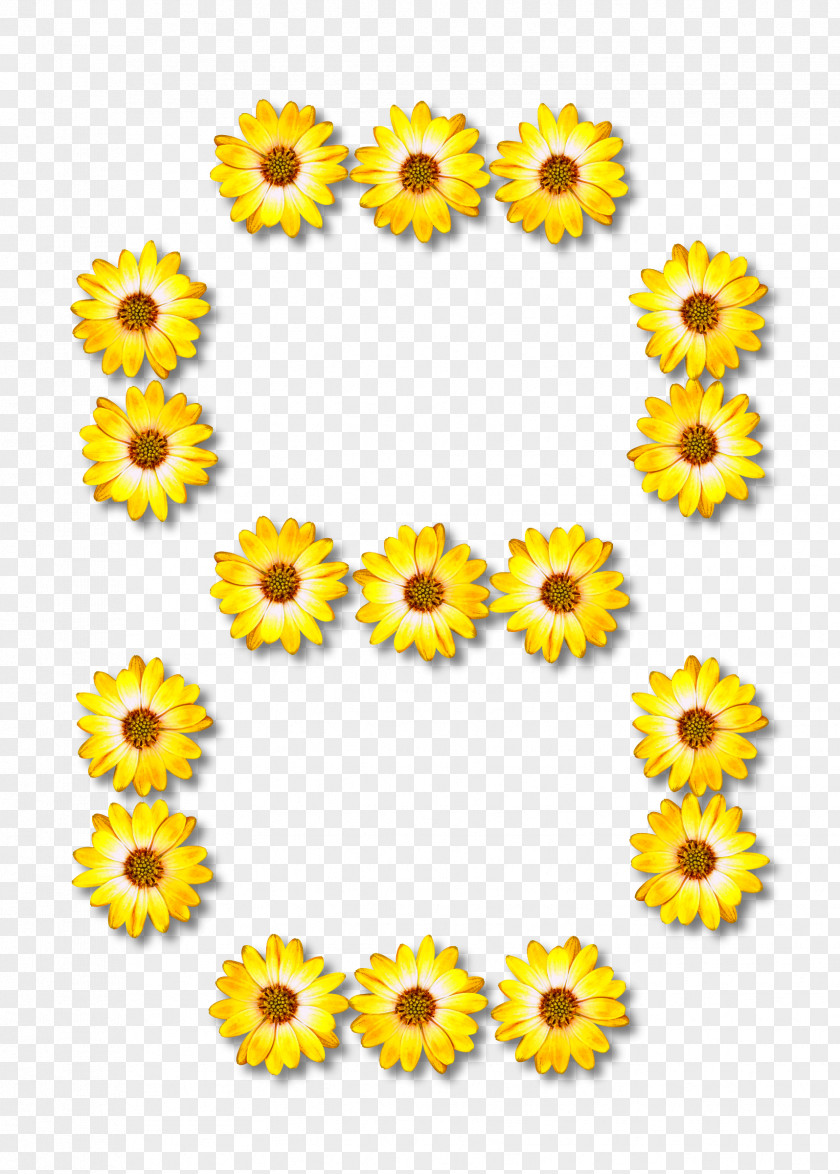Flower Common Sunflower Clip Art Floral Ornament CD-ROM And Book Design PNG
