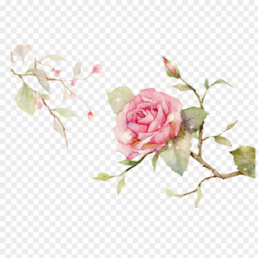 Pink Floral Background Psd Ai Rose Flower Painting Image Design PNG