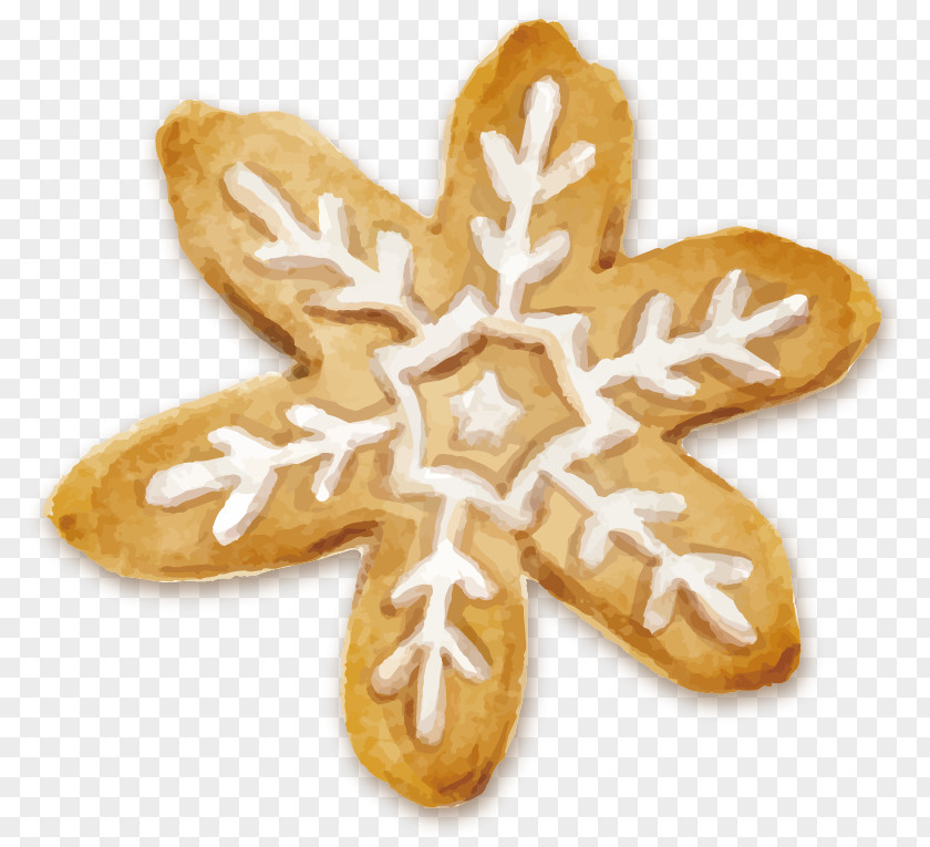 Snowflake Cookies Cookie Christmas Biscuit Watercolor Painting PNG