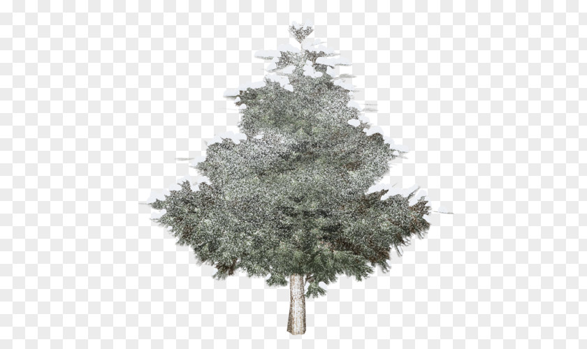 Tree Spruce Christmas Fir Clip Art PNG