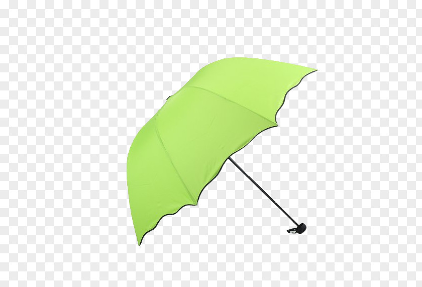 Umbrella Icon PNG