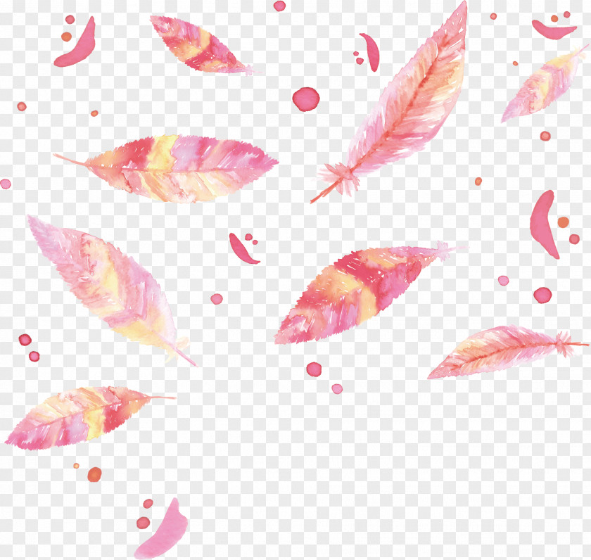 Watercolor Romantic Pink Feathers Painting Feather Bird PNG