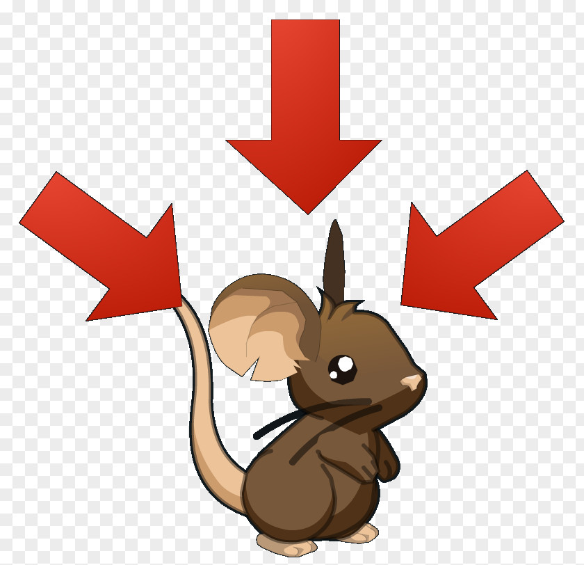 Animation Tail Squirrel Cartoon PNG