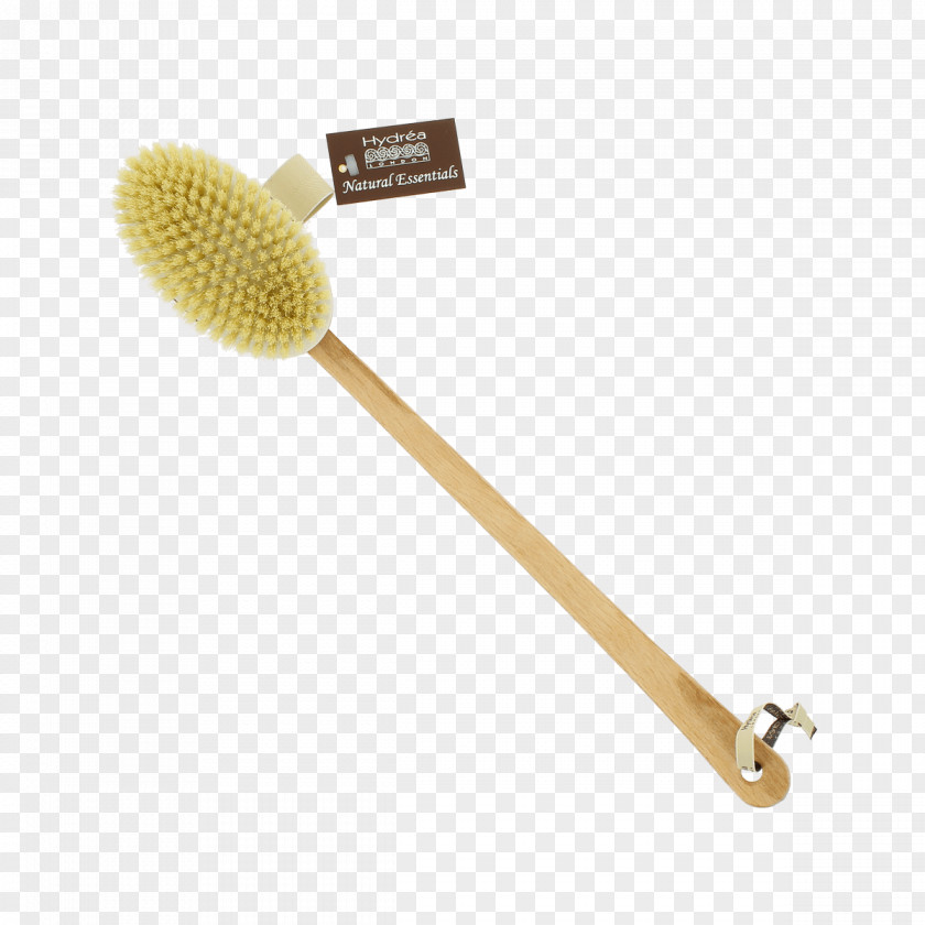 Bristles Hydrea Classic Body Brush With Natural Bristle Short Exfoliation PNG